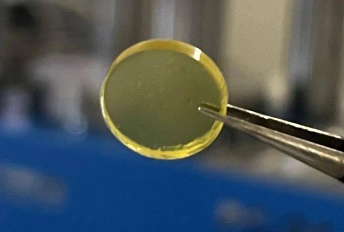 Zhejiang University Scientists Synthesize 